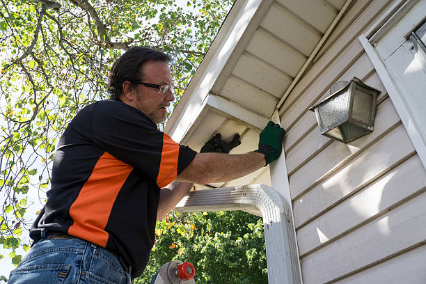 Affordable siding repair and maintenance services in Marshall, WI
